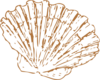 Tan Sea Shell Clip Art