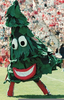 Stanford Tree Football Image