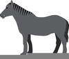 Clipart Horse Brushes Image