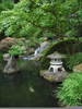 Buddhist Meditation Garden Image