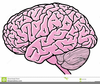 Free Clipart And Brain Image