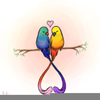 Love Bird Clipart Image