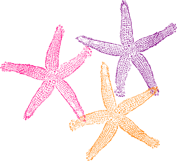 clipart pictures starfish - photo #42