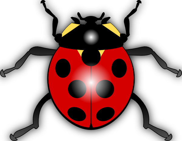 flying ladybug clipart - photo #31