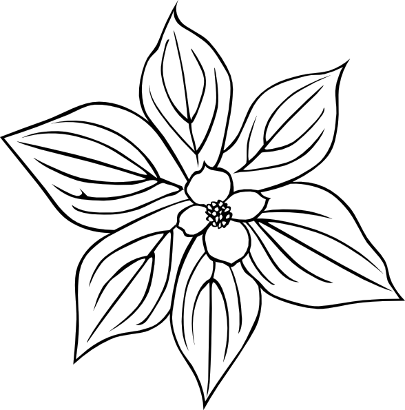 dogwood flower coloring pages - photo #25