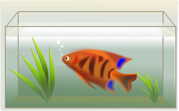 goldfish bowl clipart. Fish Tank clip art