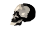 Skull Clipart Copia Clip Art