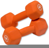 Colorful Dumbbells Image