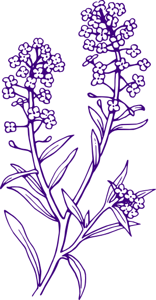 Purple Filler Flowers Clip Art at Clker.com - vector clip art online
