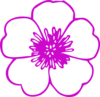 Pink Flower Clip Art