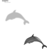 Dolphin Grey Clip Art