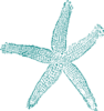 Turquoise Starfish Clip Art