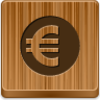 Euro Coin Icon Image