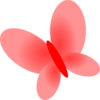 Red Pink Butterfly Md Image