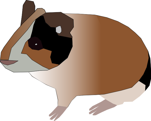 Ginny Pig Pictures. forcartoon guinea pig