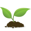 Icon Seedling Image