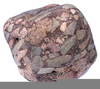 Conglomerate Rock Image