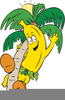 Clipart Banana Tree Image