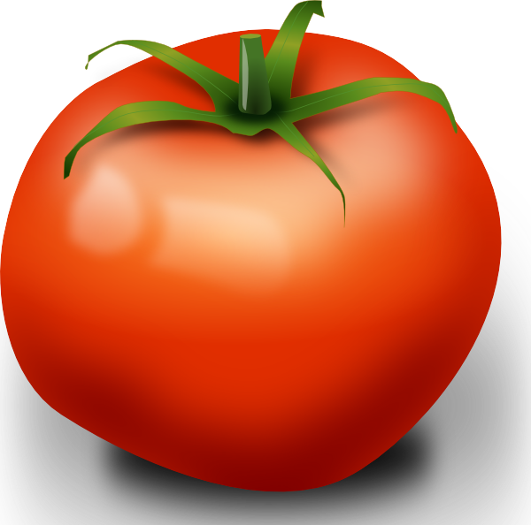 green tomato clipart - photo #37