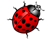 Free Cute Insect Clipart Image