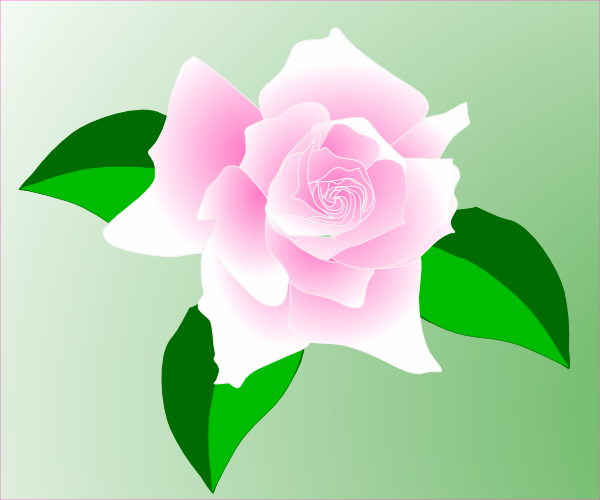 clipart pink rose flower - photo #20