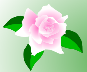 Pink-rose Clip Art