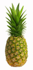 Pineapple Large Image