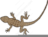 Gecko Clipart Image
