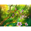 Free Animated Jungle Clipart Image
