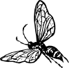 Wasp Clip Art