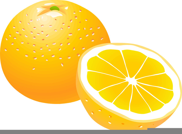 Orange Clipart Fruit | Free Images at Clker.com - vector clip art