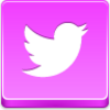 Twitter Bird Icon Image