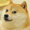 Doge Template Image