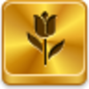 Free Gold Button Tulip Image