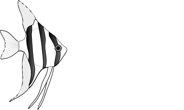 clipart angel fish - photo #46