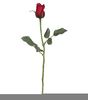 Rose And Stem Clipart Image