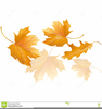 Clipart Of An Autumn Leaf Image