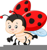 Bug Cartoon Clipart Lady Image