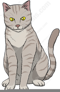 Cat Graphics Cat Clipart Image