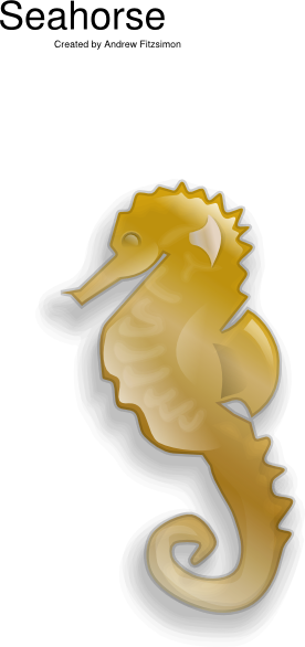 seahorse clip art - photo #42