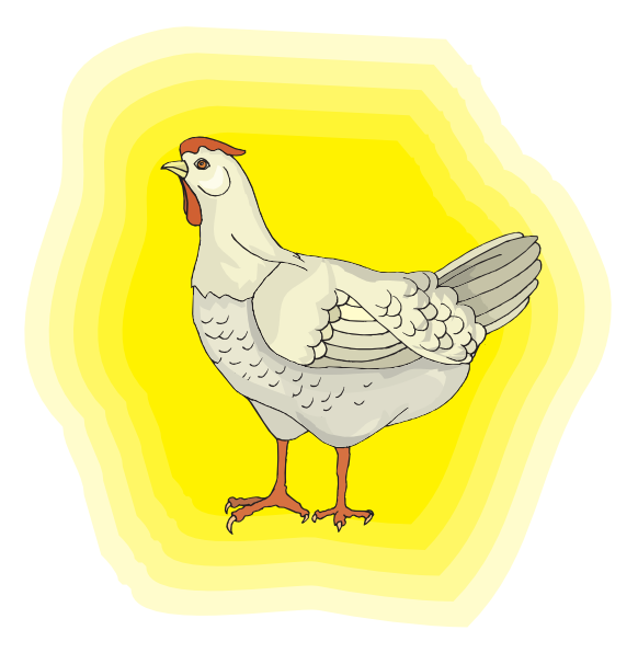yellow chicken clip art - photo #17