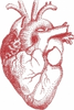 Heart 79 Image