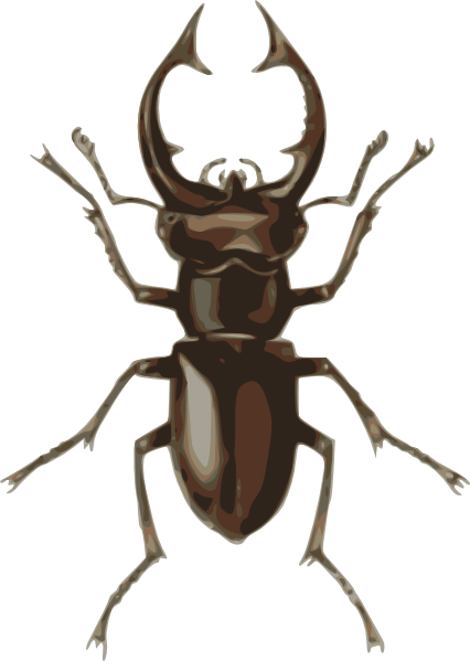 free clip art beetle - photo #43