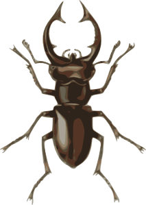 Stag Beetle Clip Art