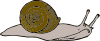 Snail 11 Clip Art