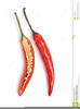 Chillies Clipart Image