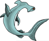 Hammerhead Shark Clipart Images Image