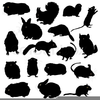 Clipart Of Rodents Image