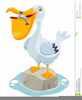Pelican Clipart Free Image