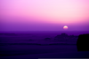 Purple Backgrounds Tumblr Image